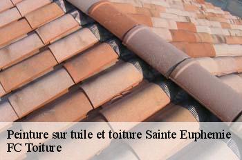 Peinture sur tuile et toiture  sainte-euphemie-01600 FC Toiture