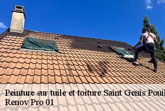 Peinture sur tuile et toiture  saint-genis-pouilly-01630 Renov Pro 01