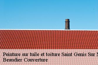 Peinture sur tuile et toiture  saint-genis-sur-menthon-01380 Beaudier Couverture 
