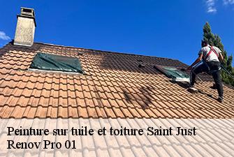 Peinture sur tuile et toiture  saint-just-01250 Renov Pro 01