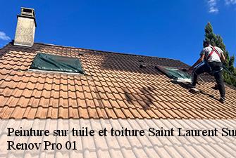 Peinture sur tuile et toiture  saint-laurent-sur-saone-01620 Renov Pro 01