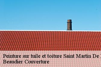 Peinture sur tuile et toiture  saint-martin-de-bavel-01510 Beaudier Couverture 