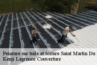 Peinture sur tuile et toiture saint-martin-du-mont-01160 Kenji Lagrenee Couverture