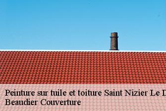 Peinture sur tuile et toiture  saint-nizier-le-desert-01320 Beaudier Couverture 
