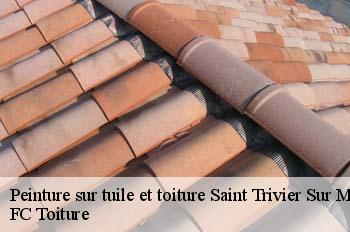 Peinture sur tuile et toiture  saint-trivier-sur-moignans-01990 FC Toiture