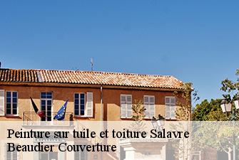 Peinture sur tuile et toiture  salavre-01270 Beaudier Couverture 