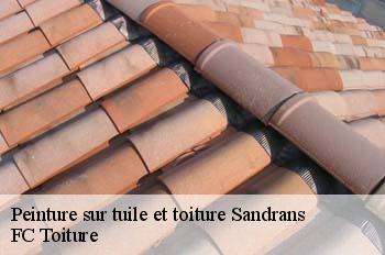 Peinture sur tuile et toiture  sandrans-01400 FC Toiture