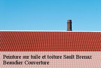 Peinture sur tuile et toiture  sault-brenaz-01150 Beaudier Couverture 
