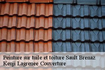 Peinture sur tuile et toiture  sault-brenaz-01150 Kenji Lagrenee Couverture