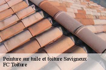 Peinture sur tuile et toiture  savigneux-01480 