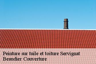 Peinture sur tuile et toiture  servignat-01560 Beaudier Couverture 