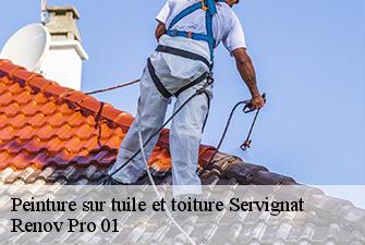 Peinture sur tuile et toiture  servignat-01560 Renov Pro 01