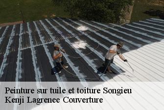 Peinture sur tuile et toiture songieu-01260 Kenji Lagrenee Couverture