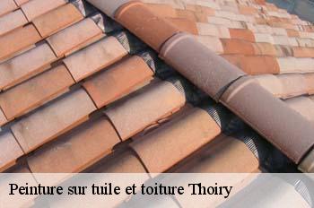 Peinture sur tuile et toiture  thoiry-01710 