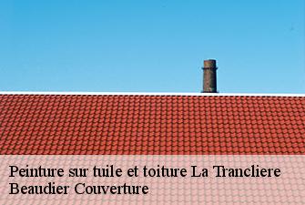 Peinture sur tuile et toiture  la-trancliere-01160 Beaudier Couverture 