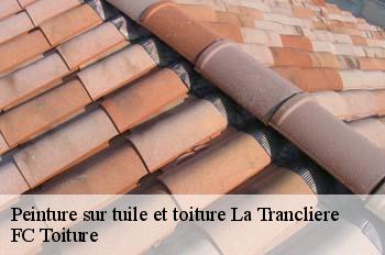 Peinture sur tuile et toiture  la-trancliere-01160 FC Toiture