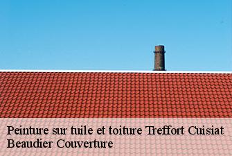 Peinture sur tuile et toiture  treffort-cuisiat-01370 Beaudier Couverture 