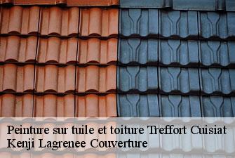 Peinture sur tuile et toiture treffort-cuisiat-01370 Kenji Lagrenee Couverture