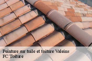 Peinture sur tuile et toiture  valeins-01140 FC Toiture
