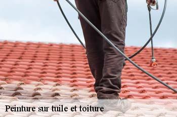 Peinture sur tuile et toiture  valeins-01140 FC Toiture