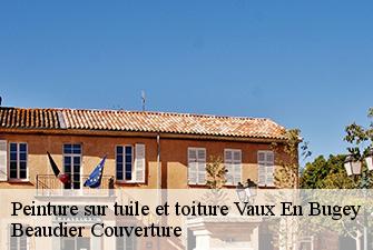 Peinture sur tuile et toiture  vaux-en-bugey-01150 Beaudier Couverture 