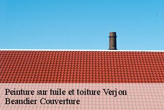 Peinture sur tuile et toiture  verjon-01270 Beaudier Couverture 