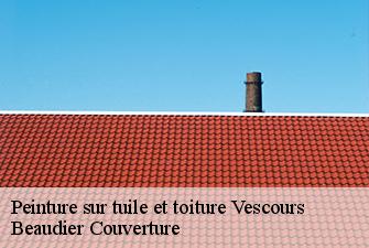 Peinture sur tuile et toiture  vescours-01560 Beaudier Couverture 