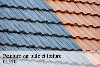 Peinture sur tuile et toiture  vesines-01570 Beaudier Couverture 