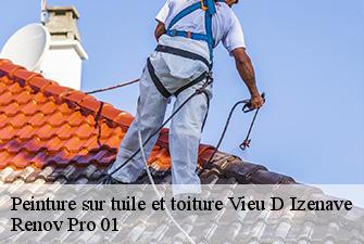 Peinture sur tuile et toiture  vieu-d-izenave-01430 Renov Pro 01