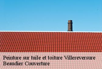 Peinture sur tuile et toiture  villereversure-01250 Beaudier Couverture 