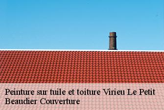 Peinture sur tuile et toiture  virieu-le-petit-01260 Beaudier Couverture 