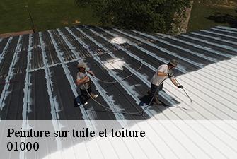 Peinture sur tuile et toiture  brou-01000 Beaudier Couverture 