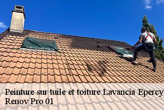 Peinture sur tuile et toiture  lavancia-epercy-01590 Renov Pro 01