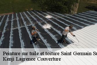 Peinture sur tuile et toiture saint-germain-sur-rhone-01200 Kenji Lagrenee Couverture