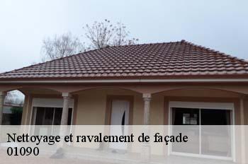 Nettoyage et ravalement de façade  amareins-01090 