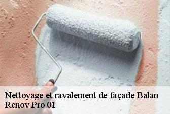 Nettoyage et ravalement de façade  balan-01360 Renov Pro 01
