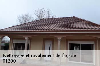 Nettoyage et ravalement de façade  bellegarde-sur-valserine-01200 