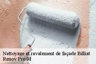 Nettoyage et ravalement de façade  billiat-01200 Renov Pro 01