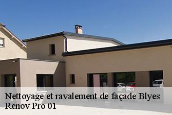 Nettoyage et ravalement de façade  blyes-01150 Renov Pro 01