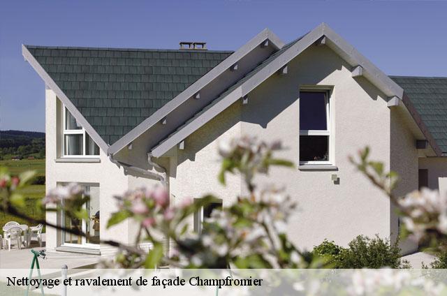 Nettoyage et ravalement de façade  champfromier-01410 