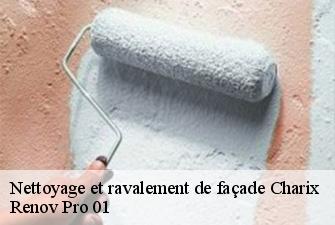 Nettoyage et ravalement de façade  charix-01130 Renov Pro 01