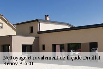 Nettoyage et ravalement de façade  druillat-01160 Renov Pro 01