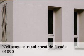 Nettoyage et ravalement de façade  genouilleux-01090 Beaudier Couverture 