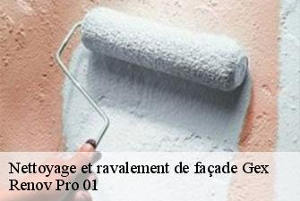 Nettoyage et ravalement de façade  gex-01170 Renov Pro 01