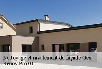 Nettoyage et ravalement de façade  gex-01170 Renov Pro 01
