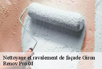 Nettoyage et ravalement de façade  giron-01130 Renov Pro 01