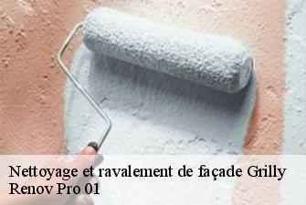 Nettoyage et ravalement de façade  grilly-01220 Renov Pro 01