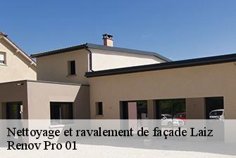 Nettoyage et ravalement de façade  laiz-01290 Renov Pro 01