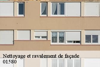Nettoyage et ravalement de façade  matafelon-granges-01580 Beaudier Couverture 