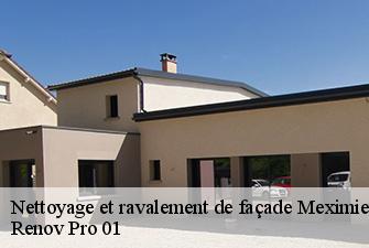 Nettoyage et ravalement de façade  meximieux-01800 Renov Pro 01